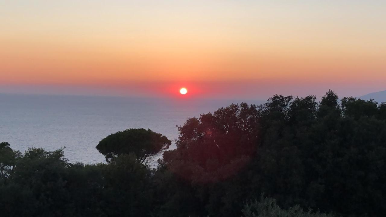 La Draghina B&B Capri Anacapri  Dış mekan fotoğraf